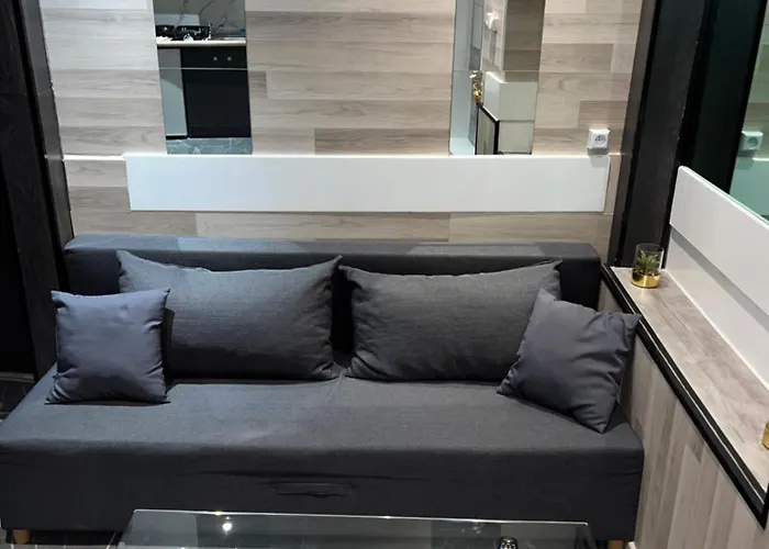 Apartment Le Darcy Gare Et Centre Dijon