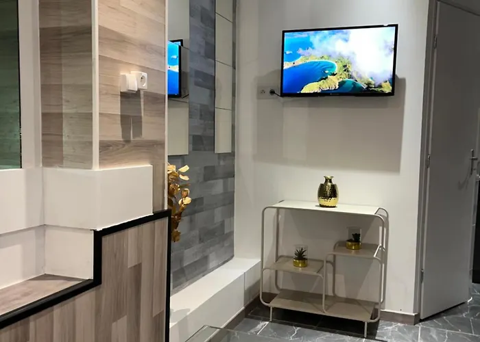 Le Darcy Gare Et Centre Apartment Dijon