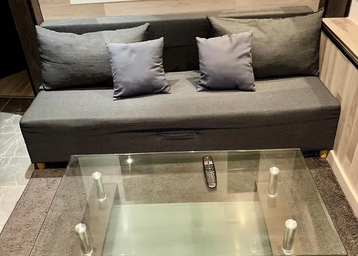 Le Darcy Gare Et Centre Apartment