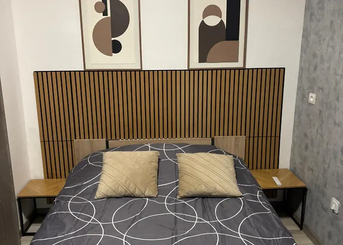 Le Darcy Gare Et Centre * Dijon